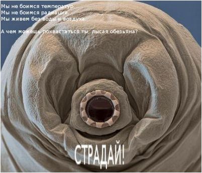 вакуум вакуум