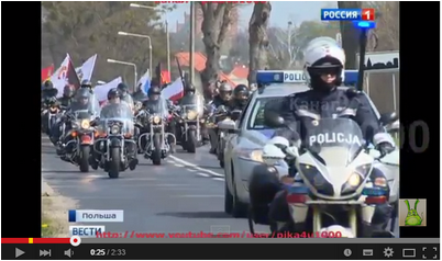 волк волк