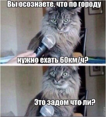 отзыв отзыв
