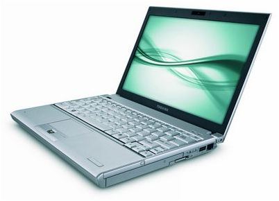acer acer
