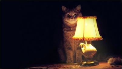 поисковик поисковик
