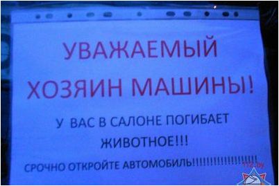 одноклассник одноклассник
