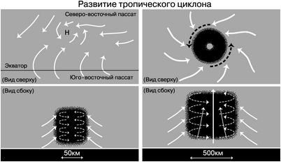 гаити