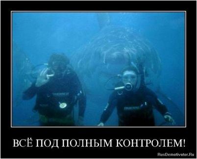 медведев медведев