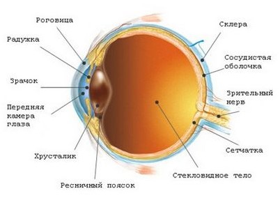 глаукома глаукома