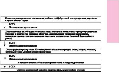 тамифлю тамифлю