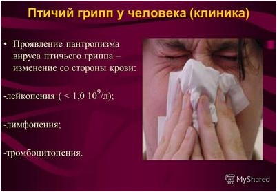 грипп грипп
