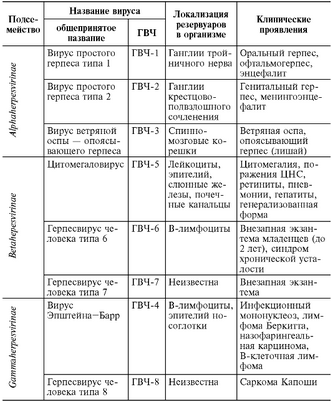 вирус вирус